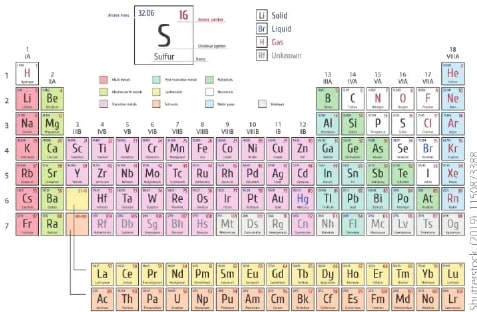 Figura 1 de Ciencias Naturales · 6 EGB · 2025