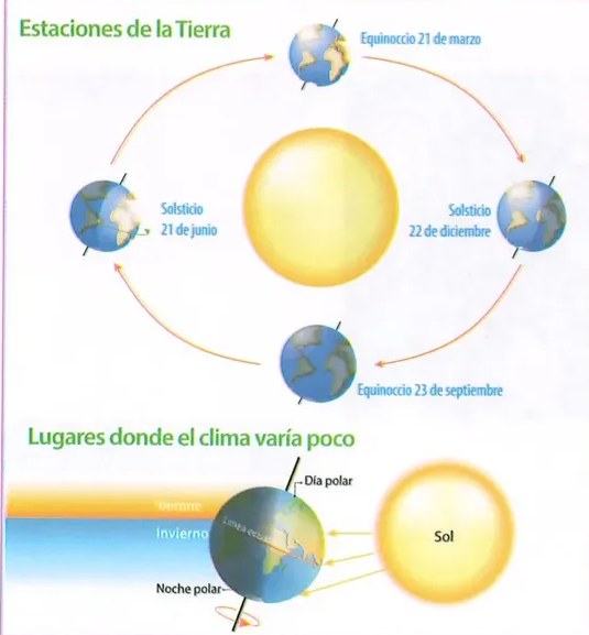Figura 4 de Ciencias Naturales · 8 EGB · 2025