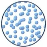 Figura 5 de Ciencias Naturales · 2 EGB · 2025