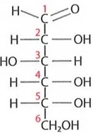 Figura 4 de Ciencias Naturales · 9 EGB · 2024