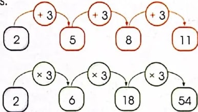 Figura 4 de Matematica · 4 EGB · 2024