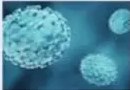 Virus de viruela bajo microscopio.