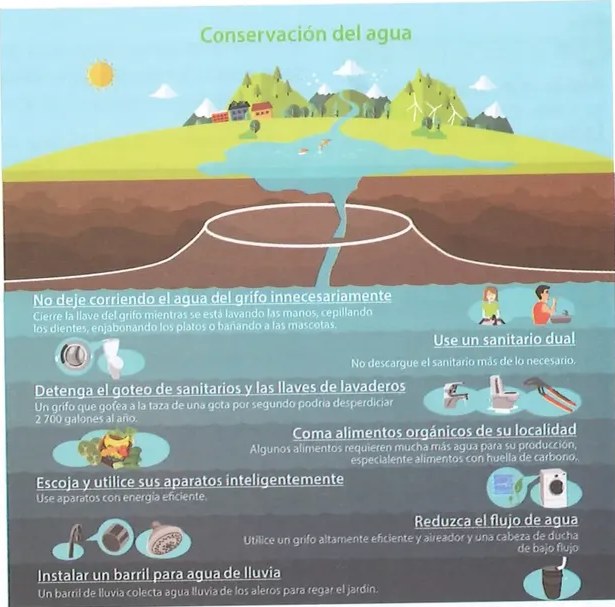 Figura 2 de Ciencias Naturales · 8 EGB · 2025