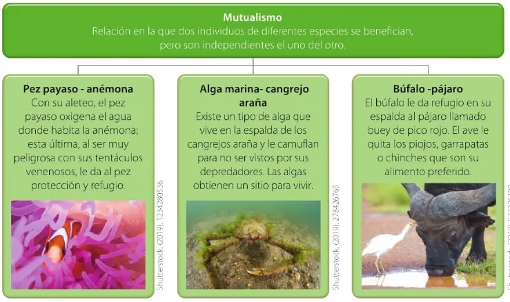 Figura 2 de Ciencias Naturales · 6 EGB · 2025
