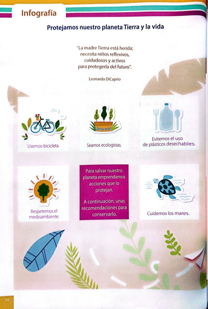 Figura 2 de Ciencias Naturales · 4 EGB · 2025