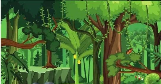 Ilustración de la selva: árboles altos, lianas y vegetación tropical densa de color verde brillante.