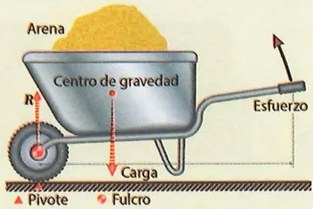 Figura 2 de Ciencias Naturales · 9 EGB · 2024