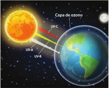Figura 1 de Ciencias Naturales · 6 EGB · 2025