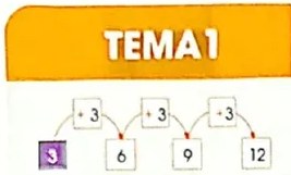 Figura 2 de Matematica · 4 EGB · 2024