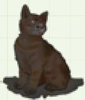 Segunda ilustración del gato negro, complementando la decoración de la sección con puntuación estándar.