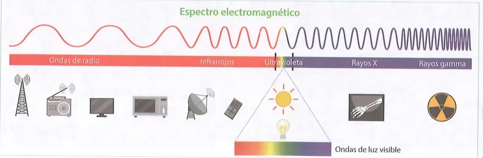 Figura 2 de Ciencias Naturales · 10 EGB · 2024