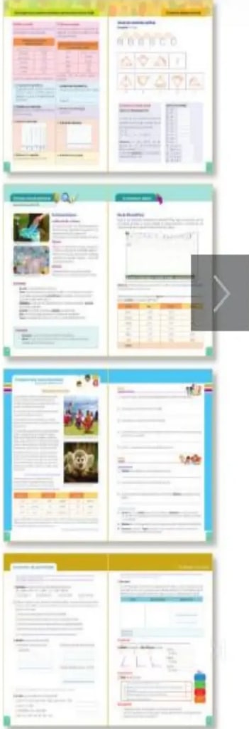 Figura 1 de Matematica · 5 EGB · 2025