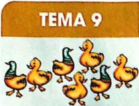 Figura 2 de Matematica · 3 EGB · 2025
