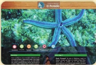 Figura 3 de Estudios Sociales · 6 EGB · 2025