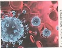 Figura 2 de Ciencias Naturales · 8 EGB · 2025