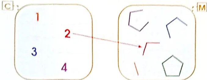 Figura 2 de Matematica · 4 EGB · 2024