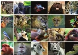 Fotografía microscópica de óvulo con espermatozoides junto a Unidad 3.