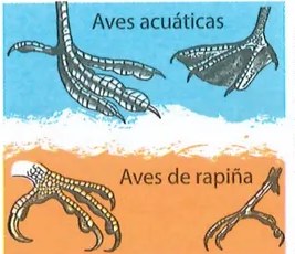 Figura 3 de Ciencias Naturales · 7 EGB · 2024