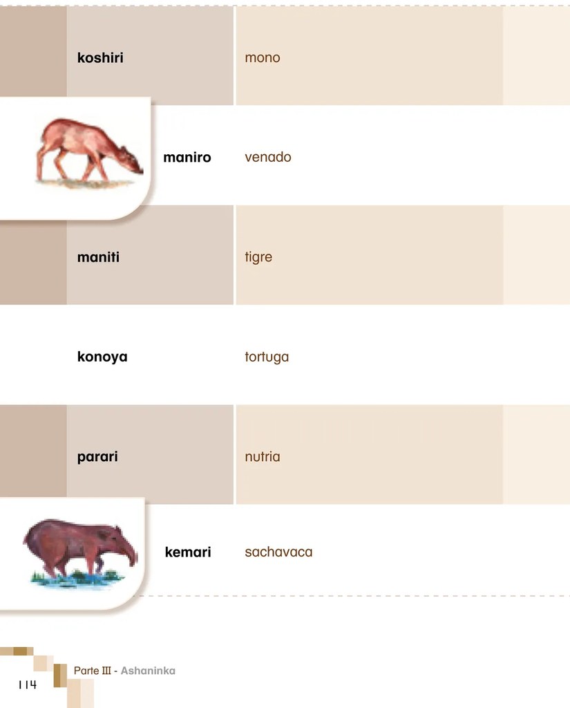Ilustración de una sachavaca o tapir (kemari) de color marrón oscuro, corpulenta, característica silueta del tapir amazónico (Tapirus terrestris). Se aprecia cerca de agua o terreno oscuro.
