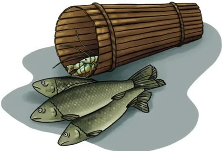 Ilustración de una catanga (trampa cilíndrica de pesca).