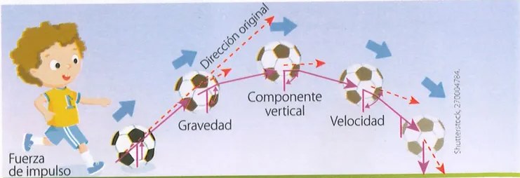 Figura 4 de Ciencias Naturales · 9 EGB · 2024