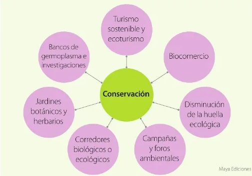 Figura 3 de Estudios Sociales · 6 EGB · 2025