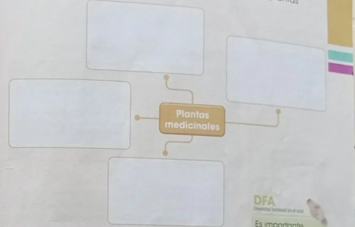 Figura 7 de Ciencias Naturales · 3 EGB · 2024