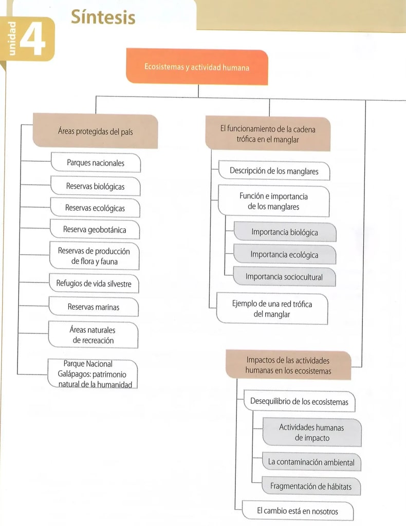 Figura 1 de Ciencias Naturales · 8 EGB · 2025