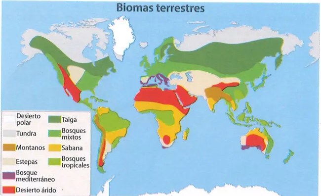 Figura 2 de Ciencias Naturales · 9 EGB · 2024