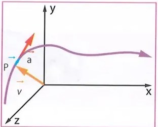 Figura 5 de Ciencias Naturales · 8 EGB · 2025