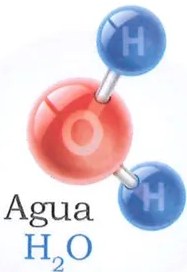 Figura 4 de Ciencias Naturales · 7 EGB · 2024
