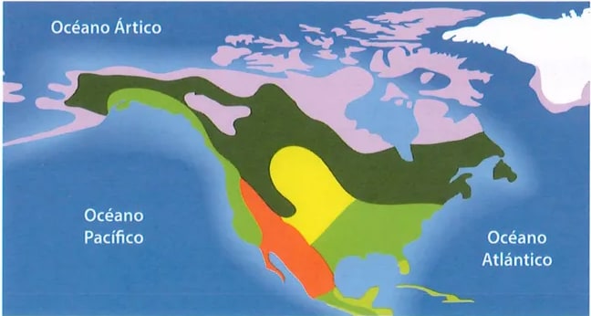 Figura 3 de Estudios Sociales · 9 EGB · 2024