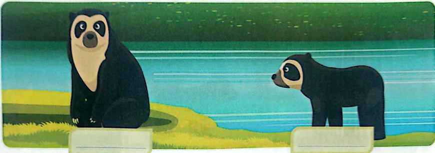 Figura 3 de Lengua Y Literatura · 3 EGB · 2025