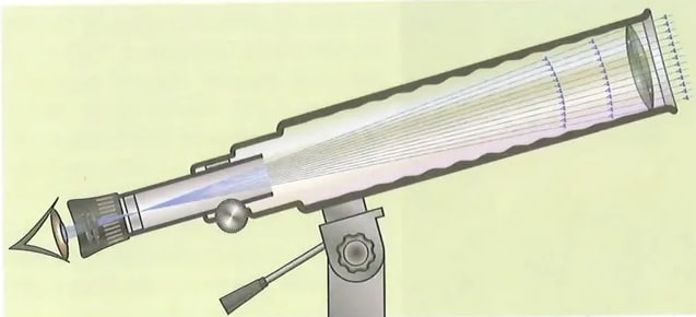 Figura 3 de Ciencias Naturales · 10 EGB · 2024