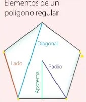 Figura 3 de Matematica · 6 EGB · 2025