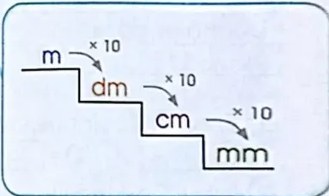 Figura 6 de Matematica · 4 EGB · 2024