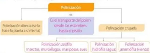 Figura 5 de Ciencias Naturales · 5 EGB · 2024