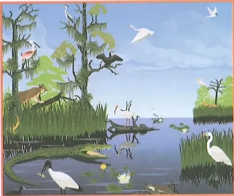 Ilustración de ecosistema acuático con diversas especies