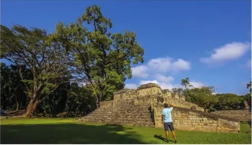 Fotografía de un visitante mirando un muro de piedra incaico con árboles.