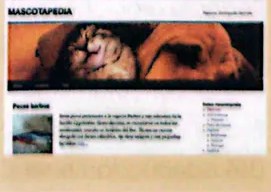 Figura 3 de Lengua Y Literatura · 3 EGB · 2025
