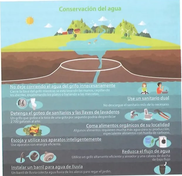 Figura 1 de Ciencias Naturales · 8 EGB · 2025