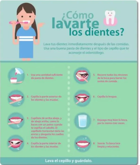 Cartel infográfico '¿Cómo lavarte los dientes?' con ocho viñetas.