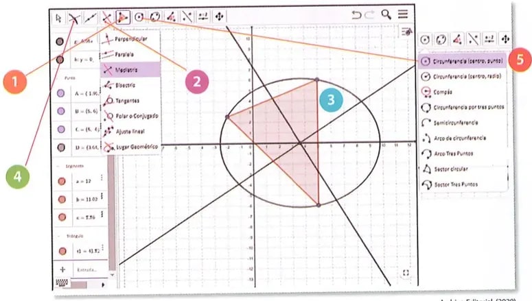 Figura 2 de Matematica · 8 EGB · 2025