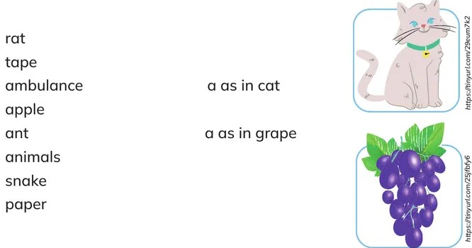 Racimo de uvas moradas (grape - ejemplo de /eɪ/).