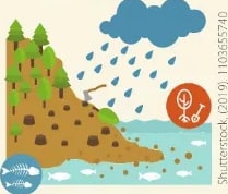 Figura 2 de Ciencias Naturales · 6 EGB · 2025