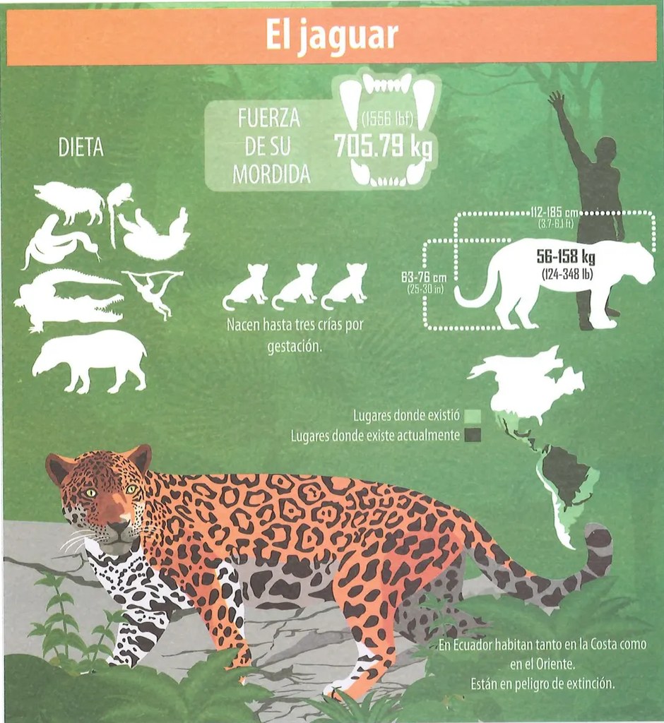 Figura 2 de Ciencias Naturales · 7 EGB · 2024