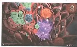 Figura 1 de Ciencias Naturales · 8 EGB · 2025