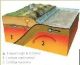 Figura 5 de Ciencias Naturales · 5 EGB · 2024