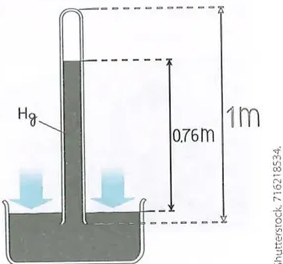 Figura 2 de Ciencias Naturales · 10 EGB · 2024