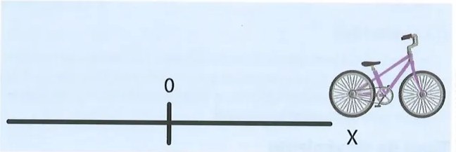 Figura 3 de Ciencias Naturales · 8 EGB · 2025